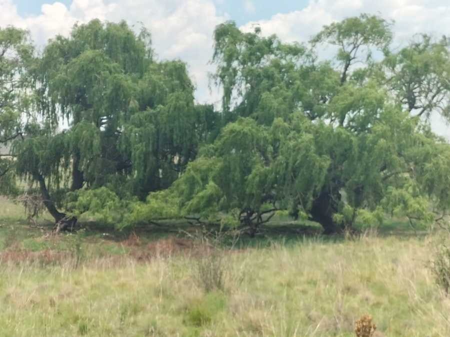 0 Bedroom Property for Sale in Bethlehem Rural Free State